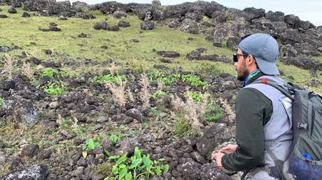 Estudio desmiente mito popular sobre la isla de Pascua