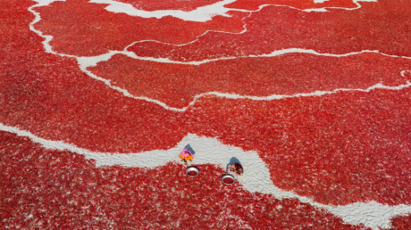 Arranca la votación en línea del Concurso de Fotoperiodismo Andréi Stenin 2024