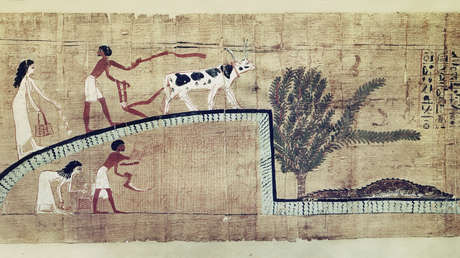 Así fue la última cena mortífera de un antiguo cocodrilo