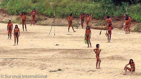 Video inédito de un pueblo indígena no contactado que está en peligro por empresas madereras