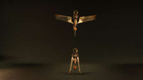 VIDEO: Un escarabajo inspira nuevos microrrobots voladores