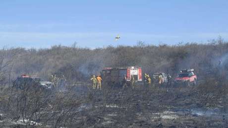 Estado de desastre y 12.000 hectáreas perdidas: incendios fuera de control en una provincia argentina (VIDEO)