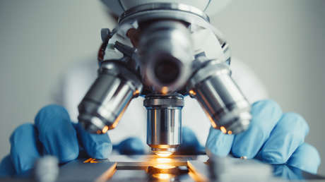 Descubren nuevo tipo de célula que podría mejorar la reparación de tejidos