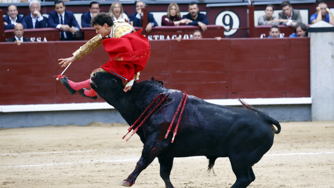 Torero peruano sufre una fuerte cornada en el glúteo (VIDEO)