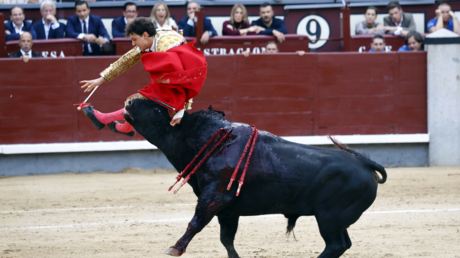 Torero peruano sufre una fuerte cornada en el glúteo (VIDEO)