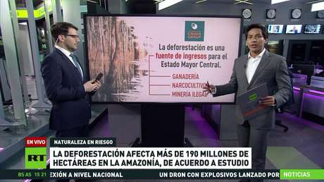 Un estudio desvela la escala de deforestación en la Amazonía, donde se desarrolla minería ilegal