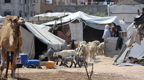 Guerras, crisis económicas y el clima llevan a más de 20 países a la hambruna