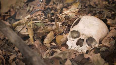 Una familia encuentra un esqueleto en un lugar secreto de su nueva casa