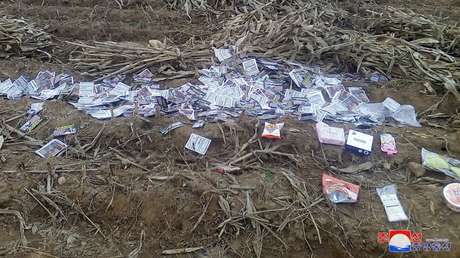 Pionyang promete que Corea del Sur pagará "un alto precio" por arrojar folletos políticos