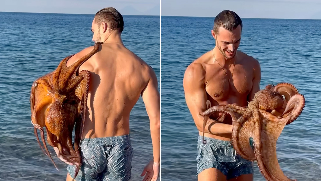 'Ataque de amor': pulpo sorprende a modelo italiano con un 'abrazo' (VIDEO)
