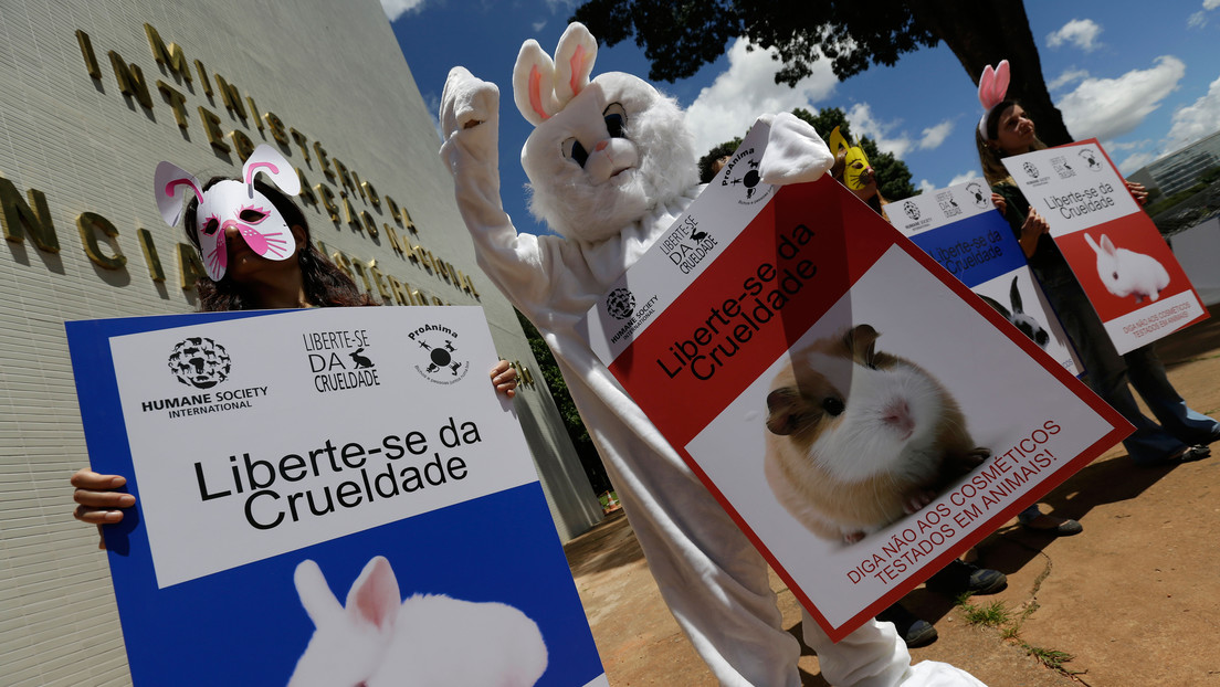 Chile prohíbe el uso de animales en pruebas de la industria cosmética