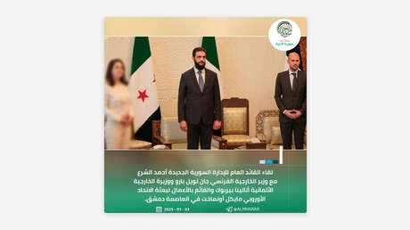 Medios sirios desenfocan a la ministra de Exteriores alemana en fotos oficiales