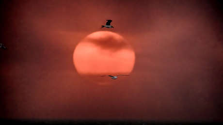 El cielo de Los Ángeles está literalmente 'en llamas' en medio de masivos incendios