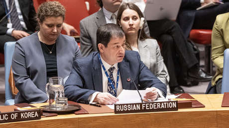 Rusia ante la ONU: Londres invitó a un neonazi de Azov a una reunión del Consejo de Seguridad