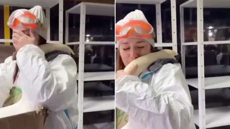VIDEO: Cisne agradecido 'abraza' a voluntaria rusa por salvarlo