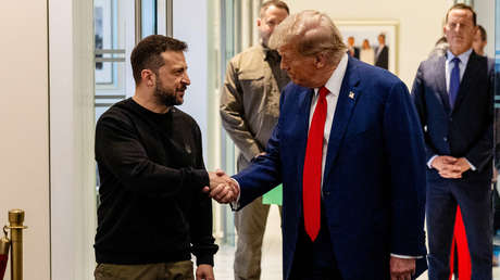 Al amor hay un paso: cómo Zelenski cambia su retórica para 'seducir' a Trump