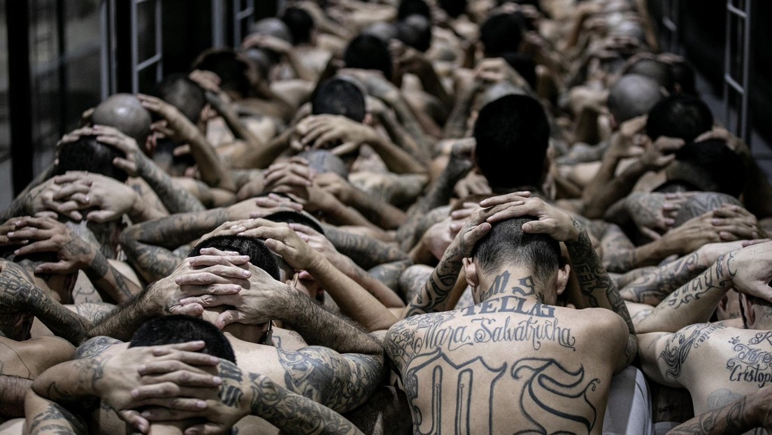 Trump se pronuncia tras propuesta de Bukele sobre envío de presos de EE.UU. a El Salvador