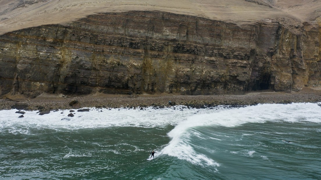 Una avalancha de arañas de mar provoca la evacuación de una playa en Perú (VIDEOS)