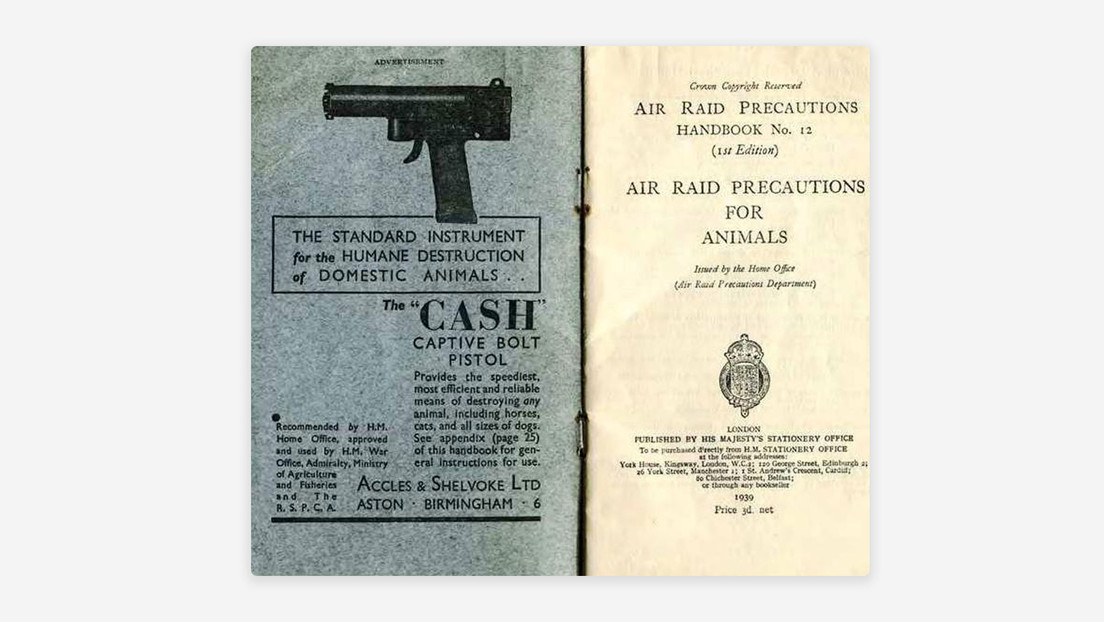 Cómo los británicos mataron 750.000 mascotas por órdenes de la propaganda