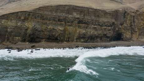 Una avalancha de arañas de mar provoca la evacuación de una playa en Perú (VIDEOS)