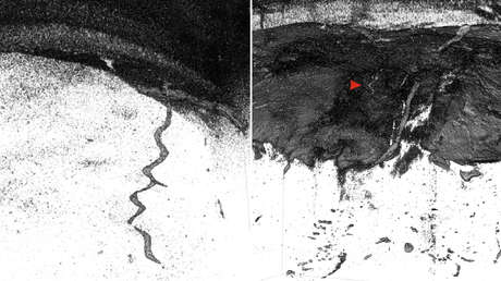 Misteriosas madrigueras, túneles y criaturas: rayos X descubren secretos del fondo del Pacífico