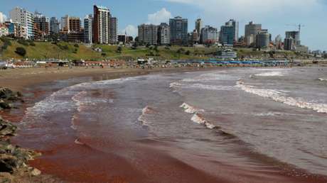 Balnearios de la costa argentina se tiñen de rojo y esta es la razón