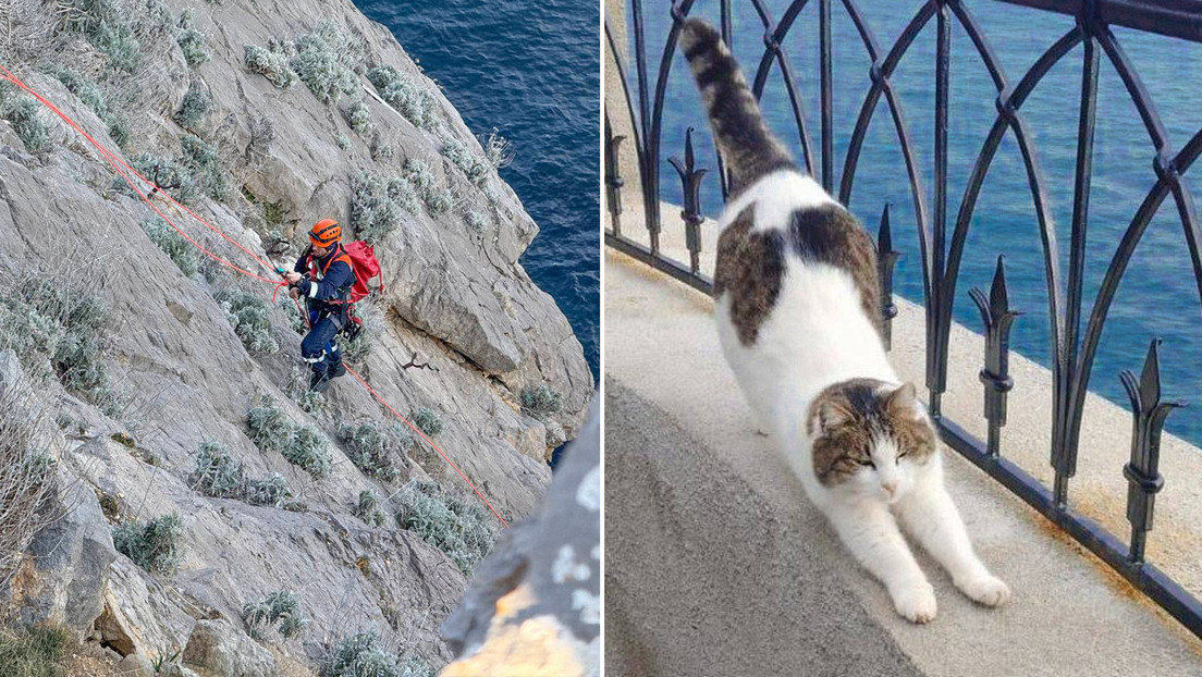 La botan por un acantilado y sobrevive de milagro: conozcan a Musia, la heroína de Crimea