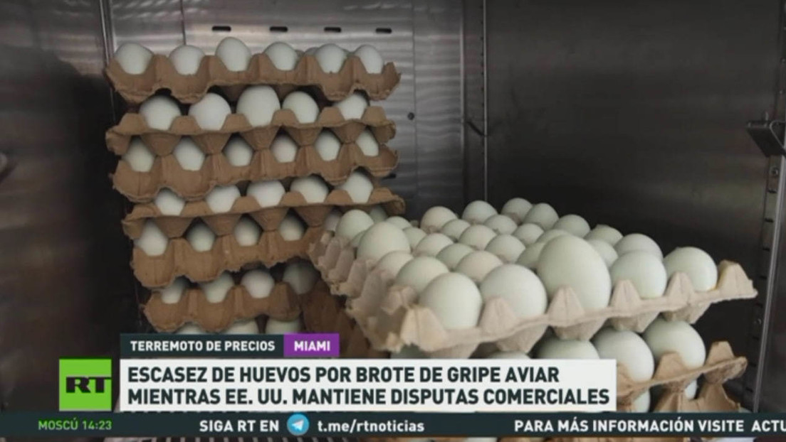 Escasez de huevos por brote de gripe aviar mientras EE.UU. mantiene disputas comerciales
