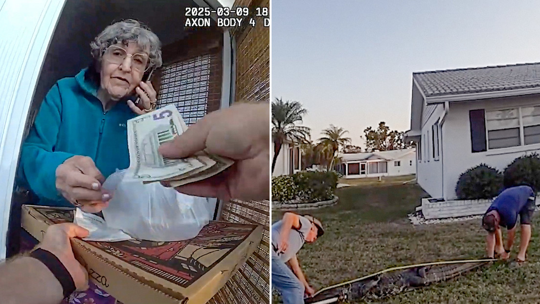 Policía hace de repartidor de pizzas por culpa de un caimán en Florida (VIDEO)