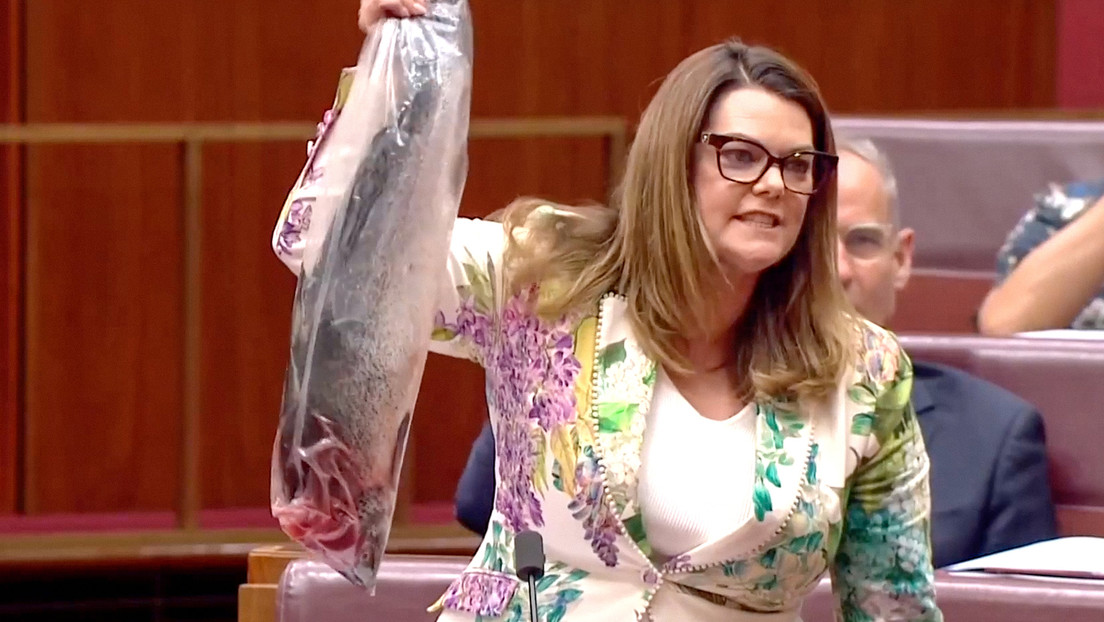 VIDEO: Senadora agita un salmón muerto en pleno debate parlamentario