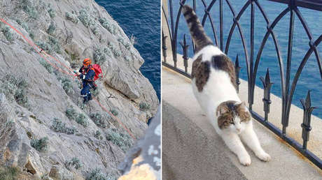 La botan por un acantilado y sobrevive de milagro: conozcan a Musia, la heroína de Crimea