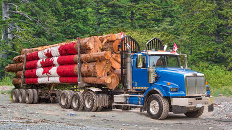 Los aranceles de Trump a Canadá ponen en riesgo el abastecimiento de papel higiénico