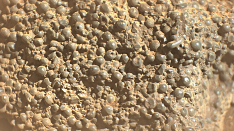 "¡Esférulas sorprendentes!": La NASA halla una extraña roca en Marte