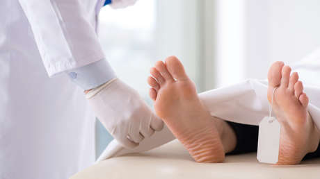 Cuerpos humanos "de repuesto": ¿qué se sabe de esta inquietante idea científica?