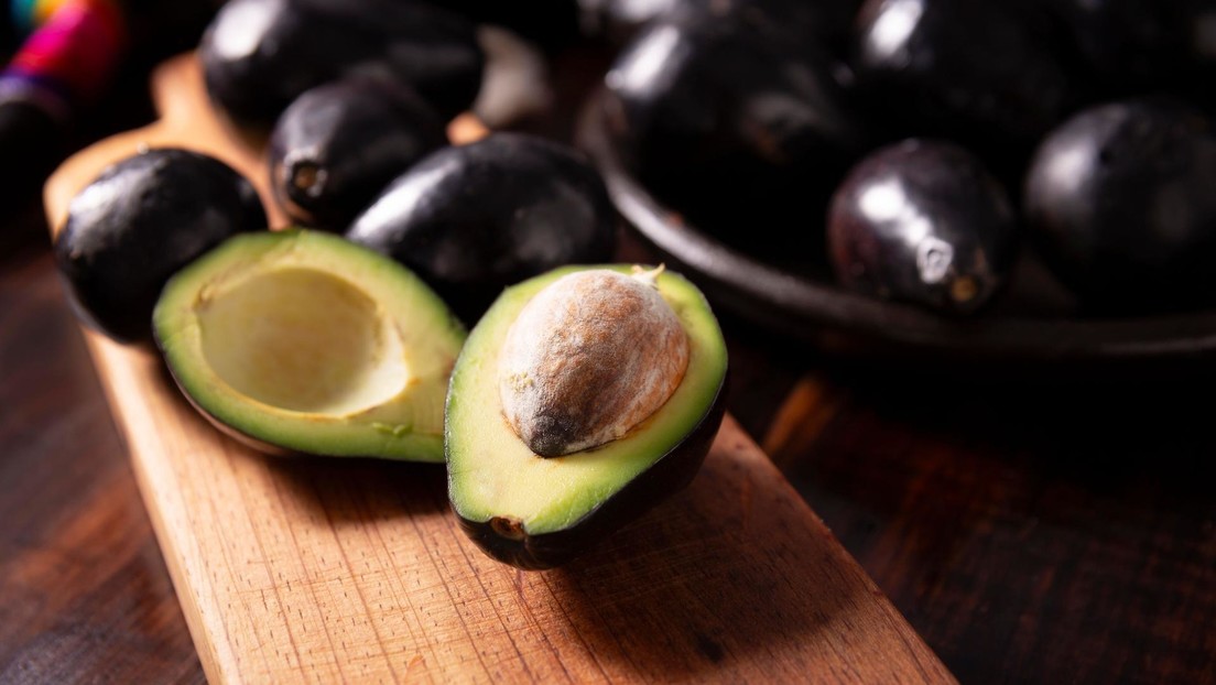 Catador de aguacates, el raro y envidiable oficio en este país latinoamericano