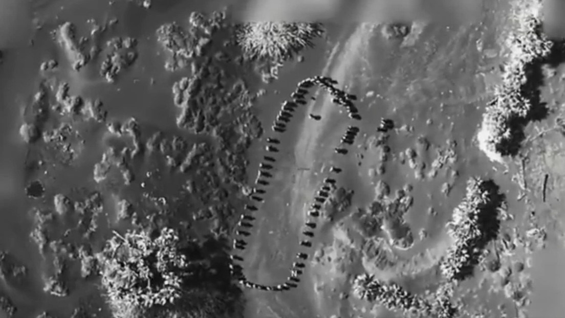 "¡Nunca más hundirán nuestros barcos!": Trump se jacta de un ataque contra los hutíes (VIDEO)