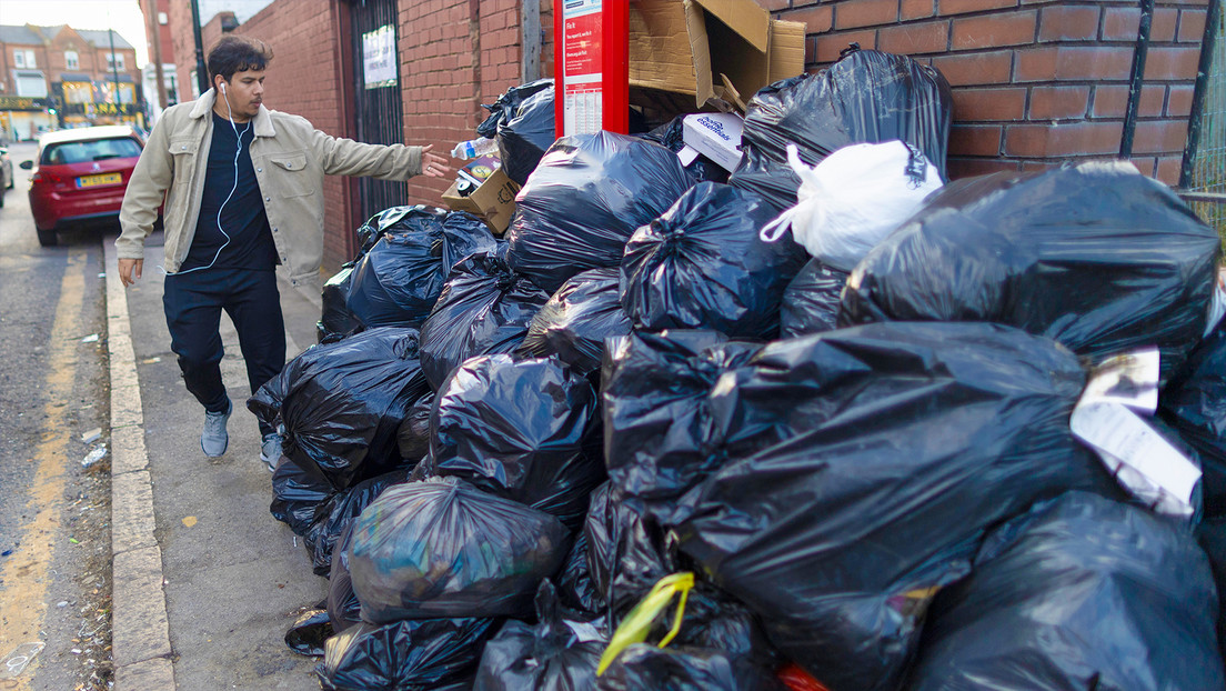 Ratas 'se apoderan' de la segunda ciudad más grande del Reino Unido