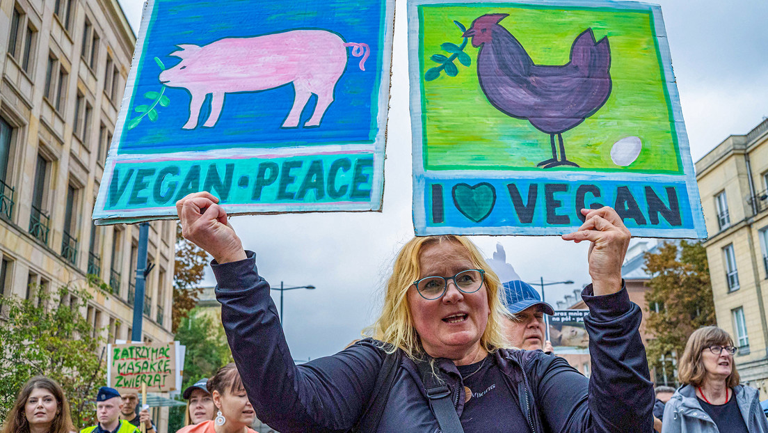 Admiración o envidia: ¿La gente odia a los veganos?