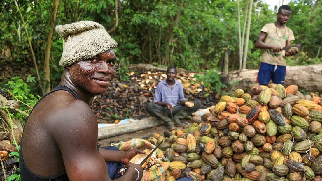 El mayor productor de cacao amenaza con subir los precios en respuesta a los aranceles