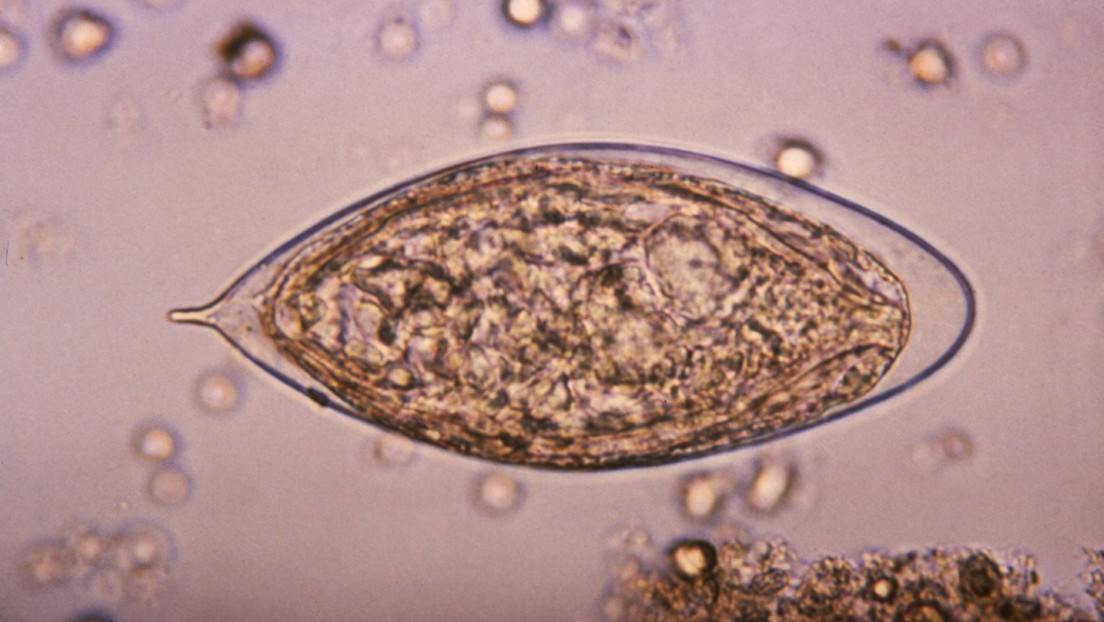 Una infección a menudo ignorada podría aumentar el riesgo de cáncer