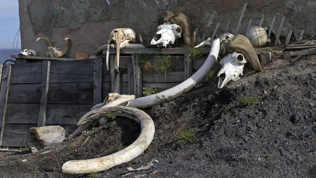 La OMS simula un brote mortal de 'viruela del mamut'