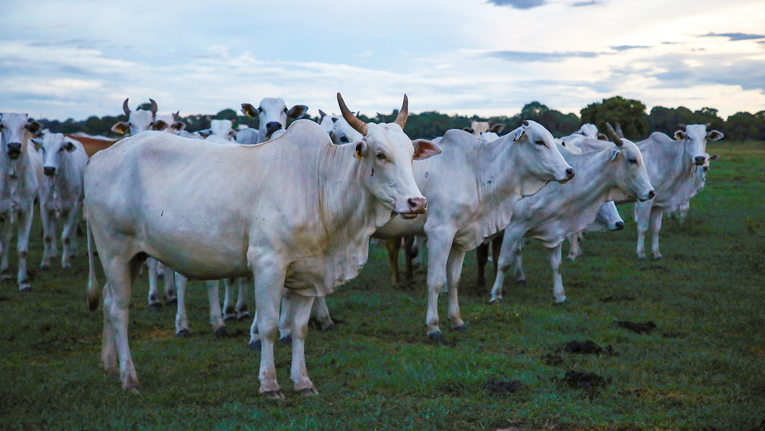 Un país juega a tres bandas para darle un vuelco al rol comercial de Latinoamérica
