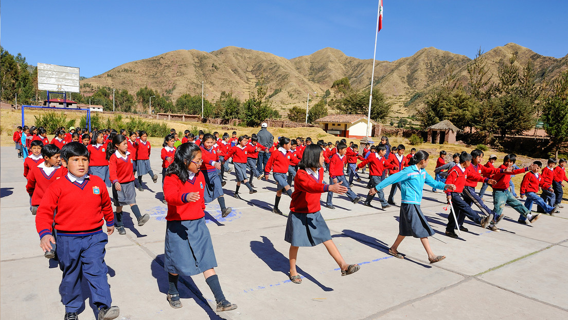 Cómo es la brecha socioeconómica entre las escuelas estatales y privadas en América Latina