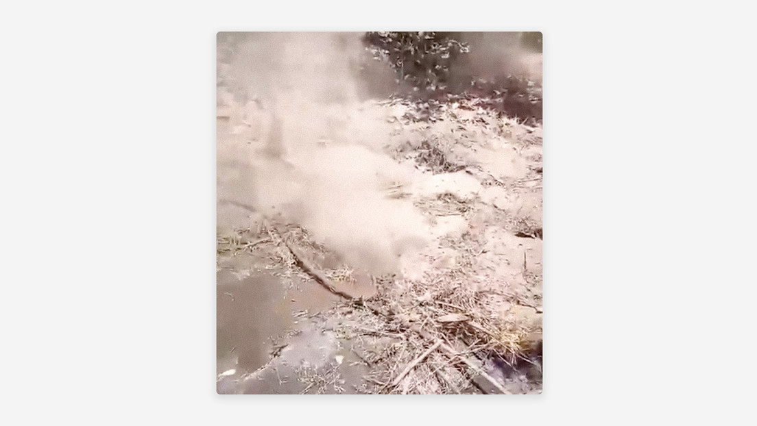 Investigan extraña manifestación de vapor en huerta de aguacates en México (VIDEO)