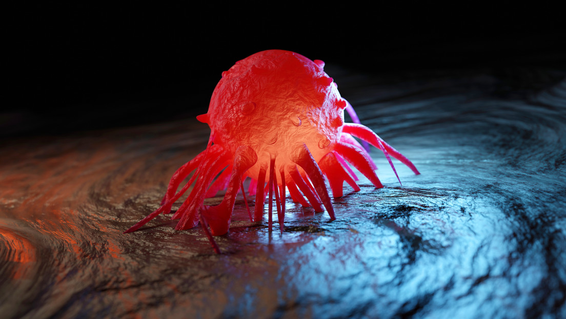 Cocina anticáncer: tres cómplices inesperados contra el avance tumoral