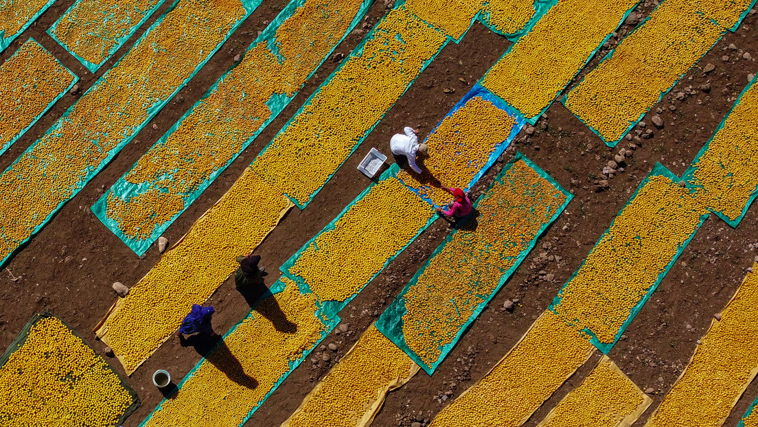 Esta fruta es el principal aliado para proteger todo tu cuerpo