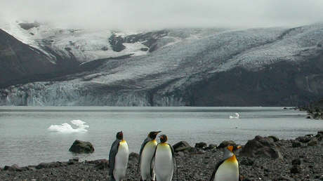 Trump castiga con aranceles a islas habitadas solo por pingüinos: ¿qué hay detrás?