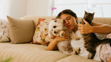 Estudio: Un gato o un perro es tan bueno para el bienestar como estar casado