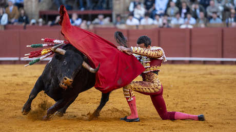 ¿La sociedad española dice 'adiós' a los toros y 'hola' al vegetarianismo?