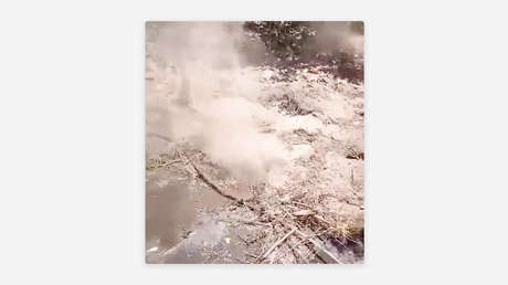 Investigan extraña manifestación de vapor en huerta de aguacates en México (VIDEO)